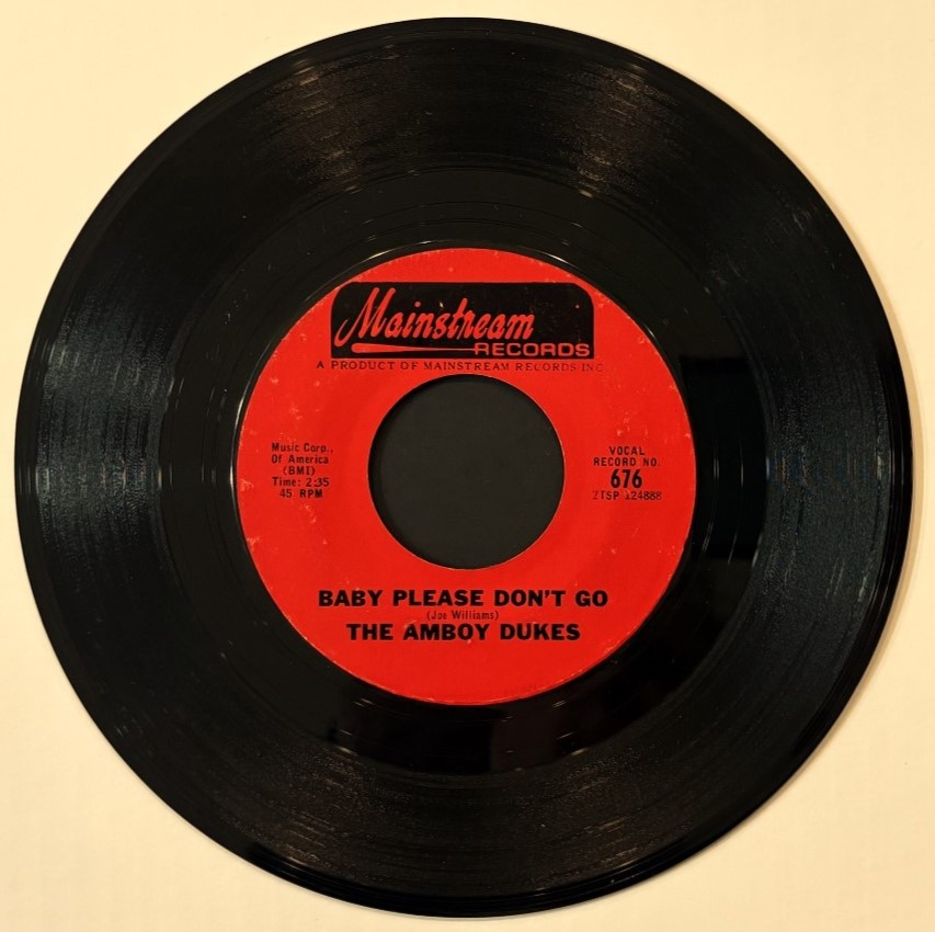 Amboy Dukes(Ted Nugent)