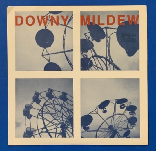 Downy Mildew 
