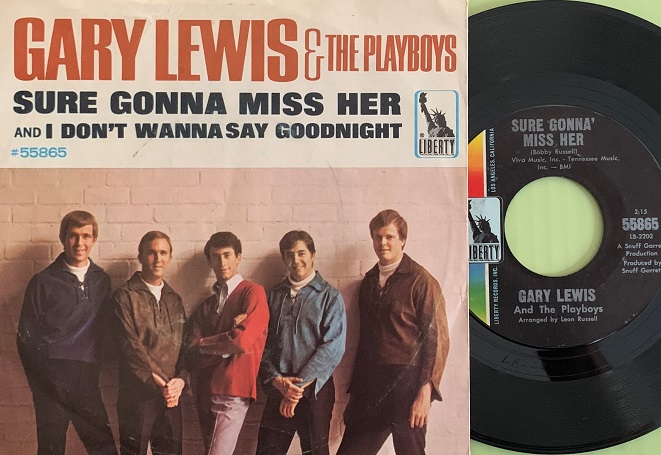 Gary Lewis & The Playboys