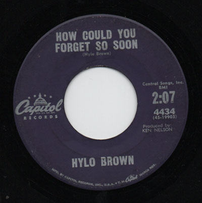 Hylo Brown