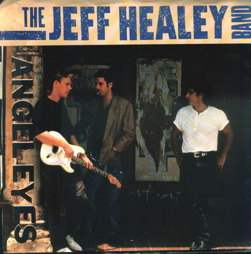 Jeff Healy Band