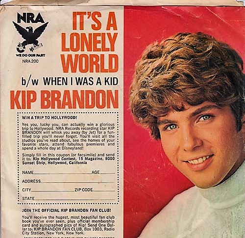 Kip Brandon