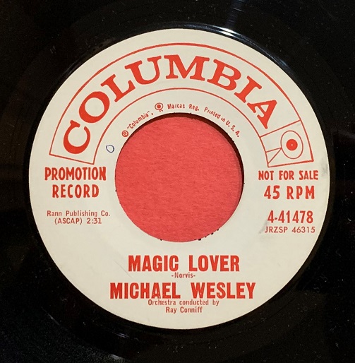 Michael Wesley