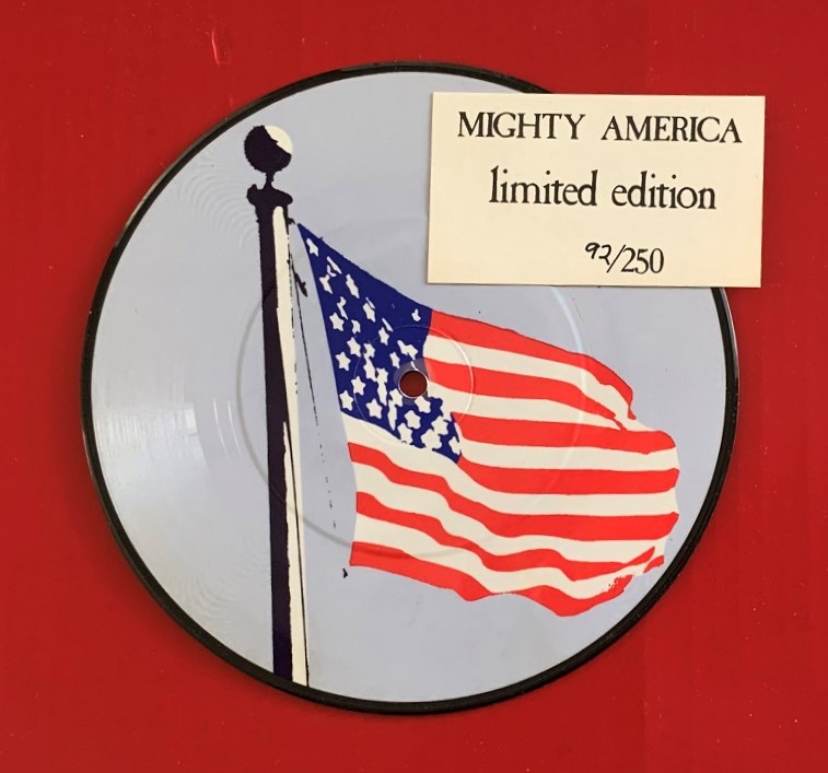 American Flag Picture Disc