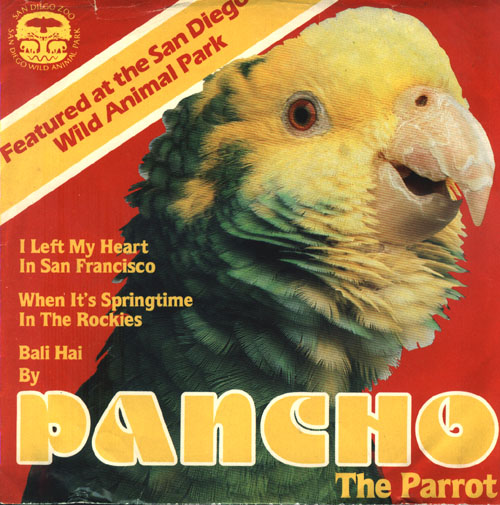 Pancho The Parrot