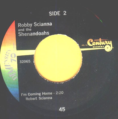 Robert Scianna & The Shenandoahs
