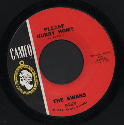 Swans