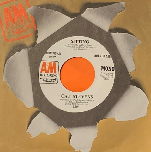 Cat Stevens