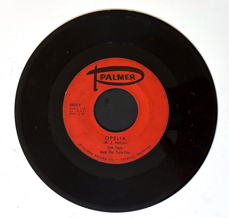 Tim Tam & The Turn-Ons 