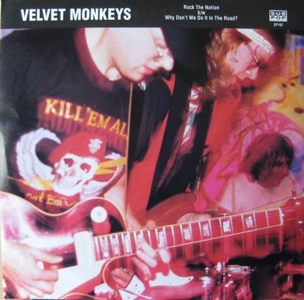 Velvet Monkeys