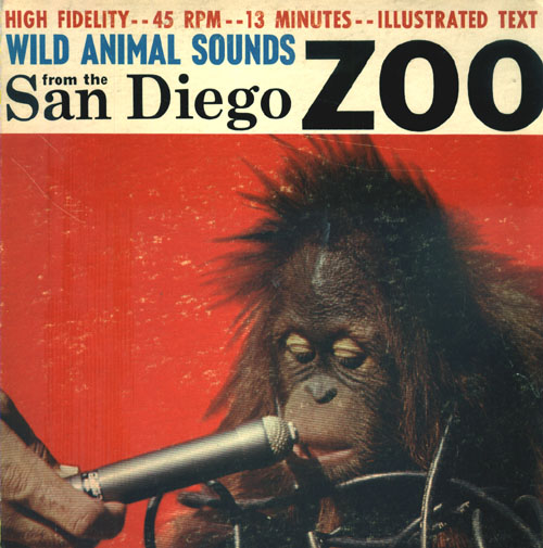 Animals Sounds(San Diego Zoo)